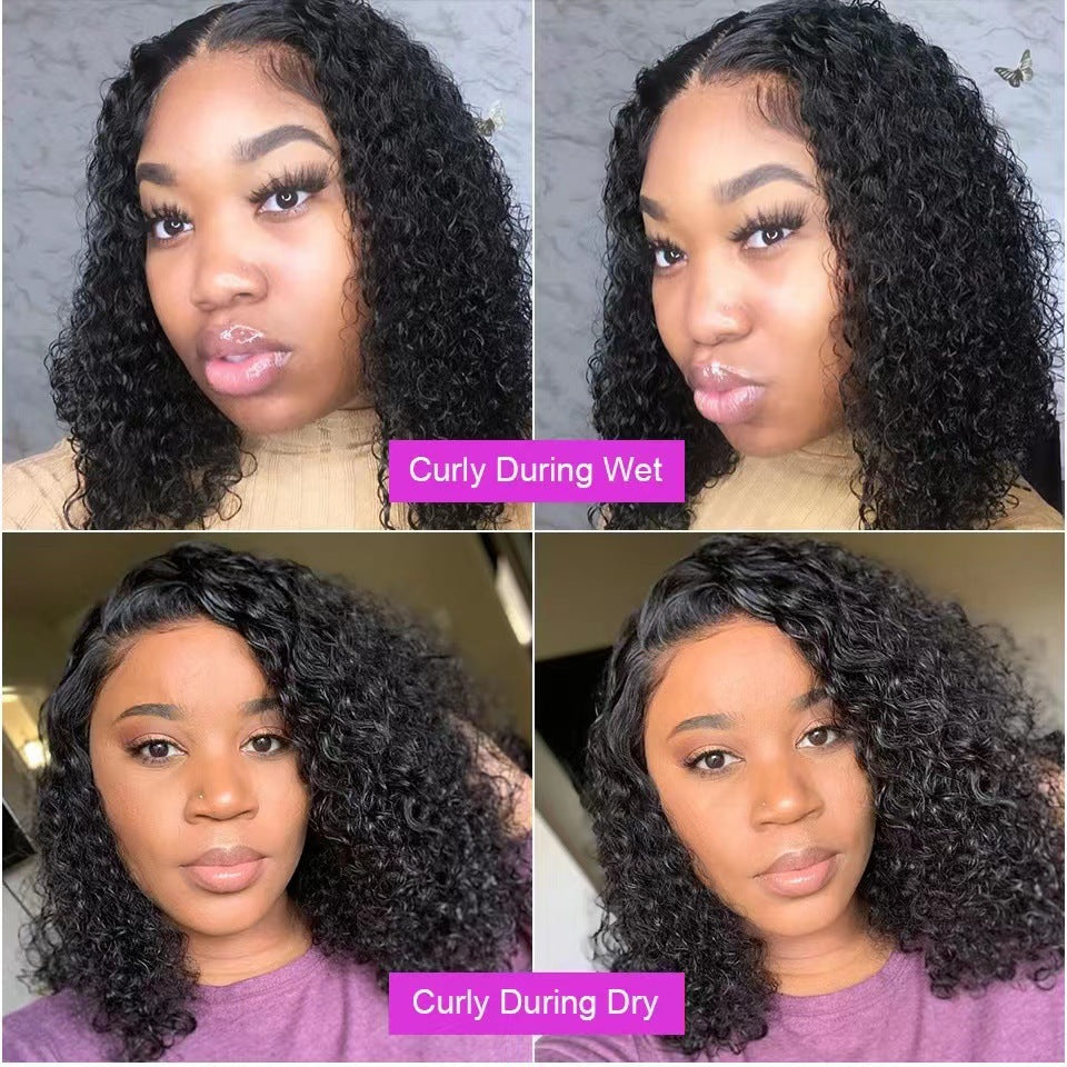 Short Curly Synthetic Lace Front Wig