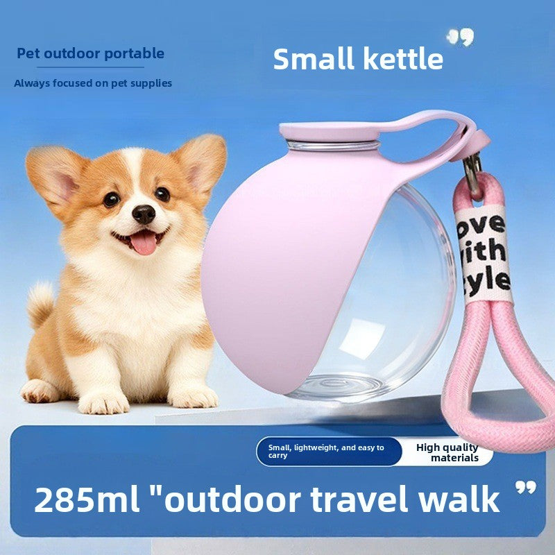 Portable water bottle