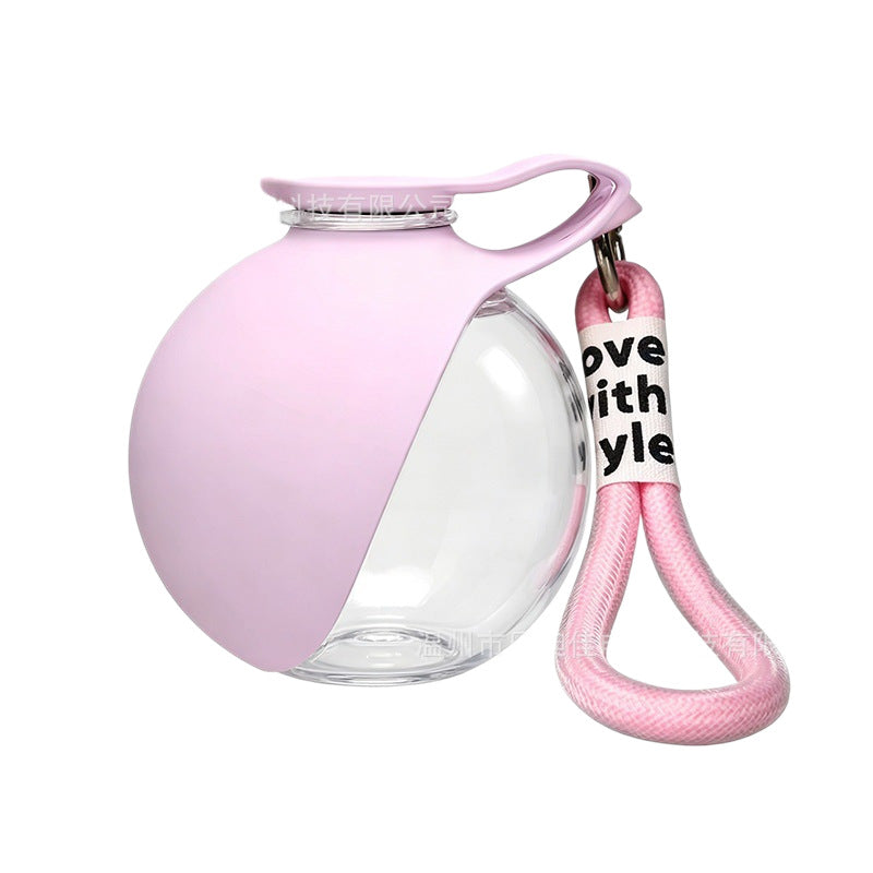 Portable water bottle